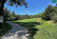 Wohnen am grünen Stadtrand - 160 m² Gartenwohnung in absoluter Ruhelage