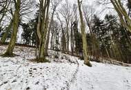 Waldgrundstück Teil 7