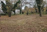 Großzügiges Baugrundstück - alles hat Platz, Traumhaus, Garage und Pool !