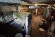 Doppelhaushälfte mit Garten in Brunn am Gebirge