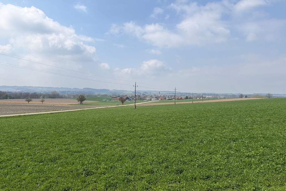 2 Grundstücke in Dorf an der Pram, Grund und Boden-kauf, 85,€, 4751 Ried im Innkreis