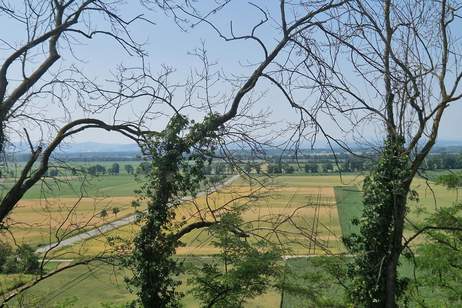 HERRLICHER AUSBLICK AN DER WAGRAMKANTE: MODERN, MASSIV &amp; HOCHWERTIG WOHNEN IN DER WEINREGION MIT BESTER INFRASTRUKTUR, Haus-kauf, 479.000,€, 3463 Korneuburg