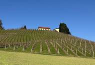 IN SLOWENIEN - Weingut in spektakulärer Alleinlage mit traumhafter Aussicht!