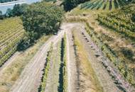 WEINGARTEN IN AUSSICHTSLAGE IM WEINBAUGEBIET WACHAU - WEINGARTEN, LANDWIRTSCHAFTLICHE FLÄCHEN - GRUNDSTÜCK IN DER WACHAU - KEIN BAUGRUNDSTÜCK!
