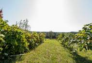 Bauernhaus zum naturnahen wohnen: Liegenschaft für Selbstversorger mit Wohnhaus in nachhaltiger Bauweise