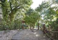 Generalsaniertes Jahrhundertwendehaus mit Wienblick und traumhaftem Garten in Nussdorf