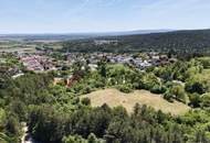 Großes Grundstück mit Haus in außergewöhnlicher Waldrandlage