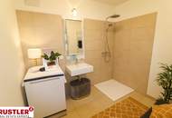 Helle Neubauwohnungen direkt an der Traisen