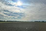 FERTIGSTELLUNG 2026 - naturnahes Wohnen im SIEDLUNGSGEBIET in OFTERING - großzügige Gartenflächen ab 342 m² - 10 Einheiten verfügbar - (Förderung möglich) - MUSTERHAUS ZUR BESICHTIGUNG VORHANDEN