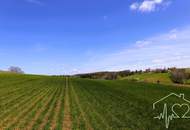 Sonderpreis - Grundstück in Ruhelage mit Panoramablick zum Kauf!