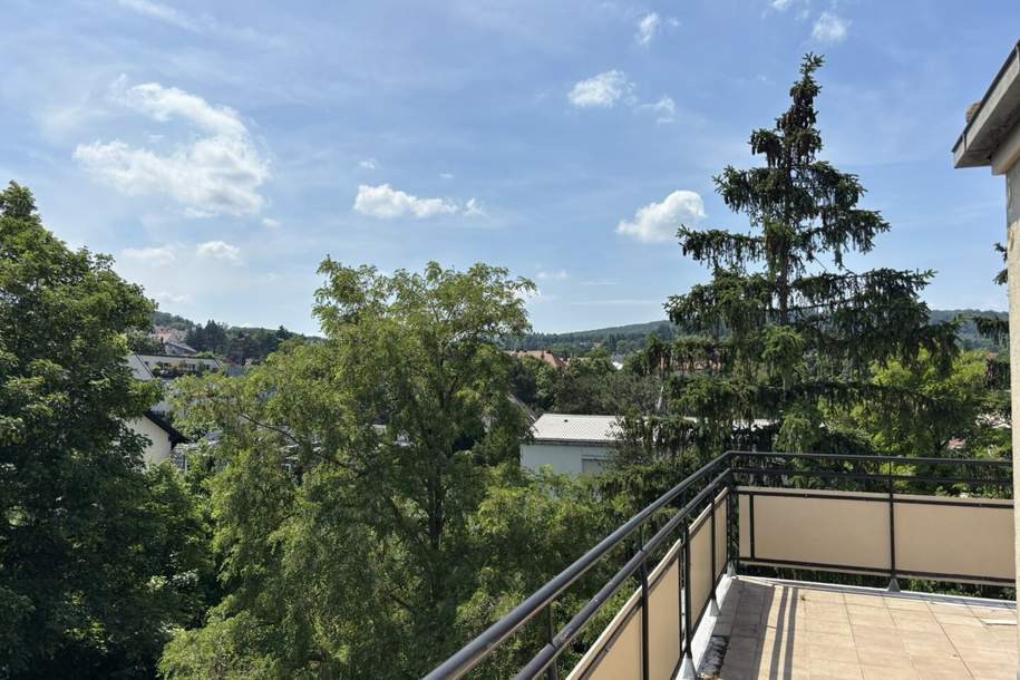 Dachterrassenhit (51m² Wohnung, 39m² Terrasse) mitten im Grünen - Gobergasse, Wohnung-miete, 1.297,48,€, 1130 Wien 13., Hietzing