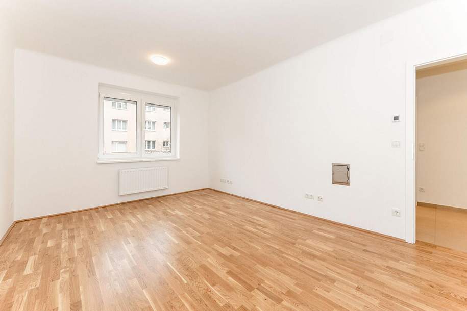 Komplett renovierte Garconniere am Gustav-Klimt-Park zu verkaufen!, Wohnung-kauf, 249.000,€, 1140 Wien 14., Penzing