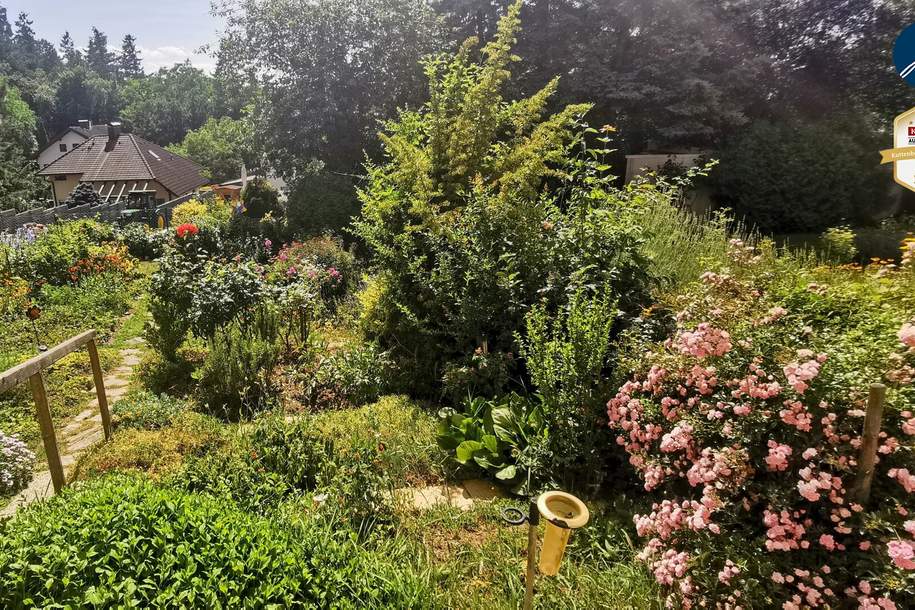 traumhafte 3-Zimmer-Wohnung mit Garten, Wohnung-kauf, 155.000,€, 2020 Hollabrunn