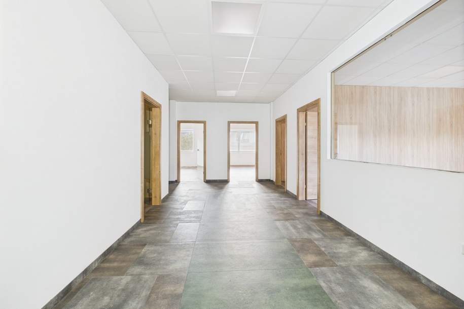 ***PROVISIONSFREI*** 152m² Büro/Praxisflächen in St. Andrä – neu, modern, flexibel + zentral gelegen, Gewerbeobjekt-miete, 1.290,00,€, 9433 Wolfsberg