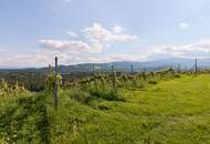 Blick ins Steirerland - für Liebhaber des BESONDEREN in der weststeirischen Hügellandschaft