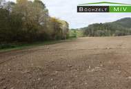 Ca. 3,9 ha Ackerfläche in +++ St. Marein - Feistritz +++
