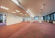 Büro direkt auf der Dresdnerstraße im BC 20 - Bauteil B zu mieten