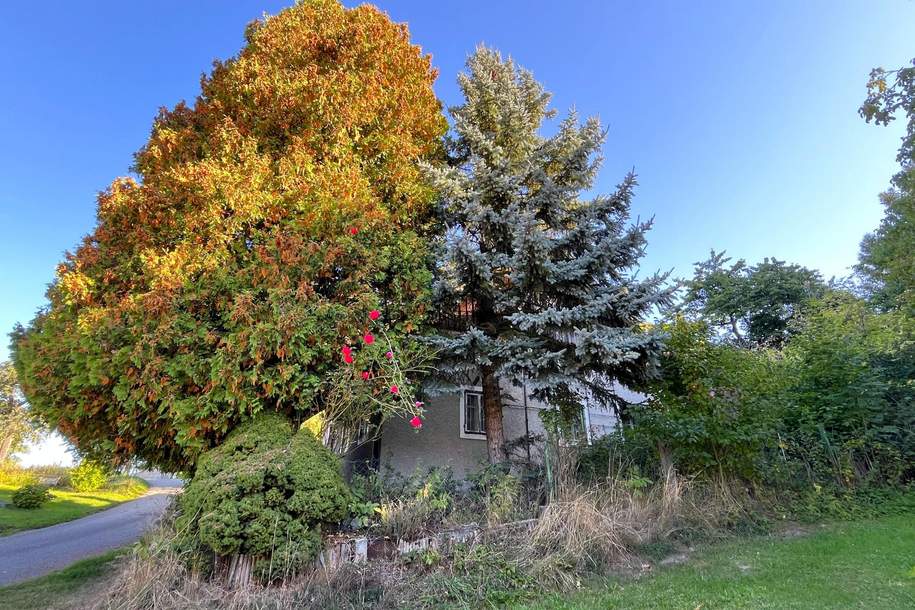 Natur pur! Grundstück mit Abrissobjekt!, Grund und Boden-kauf, 197.000,€, 4692 Vöcklabruck