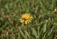Ruhe, Weitblick und Lebensqualität in Harmonie