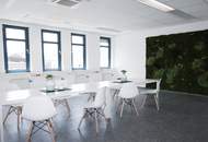 Büros und Lager am Franzosengraben