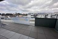 einen Katzensprung von Wien entfernt MIETE