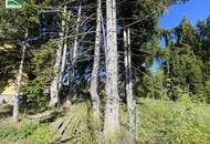 Aus alt mach neu - Historisches Einfamilienhaus in Alleinlage am Hügel in Bad Großpertholz mit großem Garten - JETZT ANFRAGEN