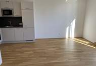 2-Zimmer Dachterrassenwohnung inkl. Komplettküche und Kellerabteil / K2-55