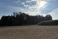 Ehem. Landwirtschaft mit ca. 8,2 ha LN zwischen Aurolzmünster und Andrichsfurt