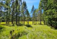 Naturnah investieren: Landwirtschafts- und Waldfläche!