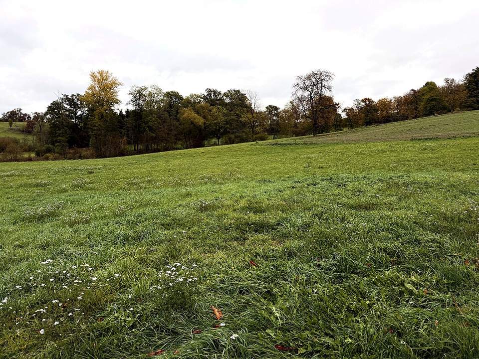 Landwirtschaftliche Fläche zwischen Fraham und Scharten zu verkaufen