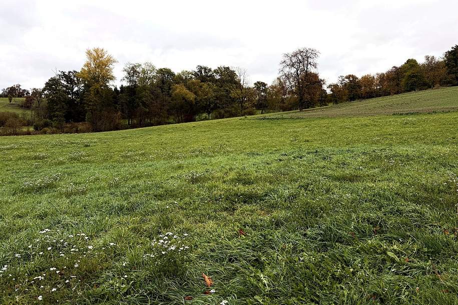 Landwirtschaftliche Fläche zwischen Fraham und Scharten zu verkaufen, Gewerbeobjekt-kauf, 136.900,€, 4070 Eferding