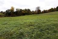 Landwirtschaftliche Fläche zwischen Fraham und Scharten zu verkaufen