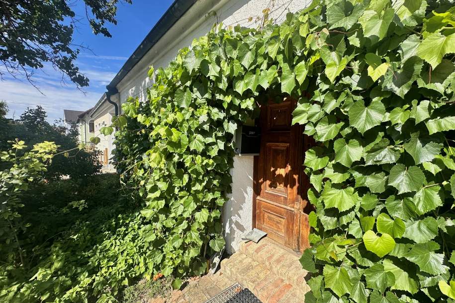 Einzigartiges Landhaus zum Verlieben im Weinviertel – Naturidylle, Ruhe und ganz besonderer Charme!, Haus-kauf, 175.000,€, 2143 Mistelbach