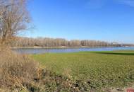 Charmantes Sommerhaus im Strombad Kritzendorf