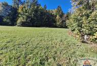 Preiswertes Grundstück am Rechberg: Ruhe, Aussicht und Natur!