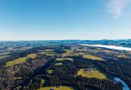 Goldene Felder für Ihre Ernte – Ihre Chance, den Boden zum Leben zu erwecken!