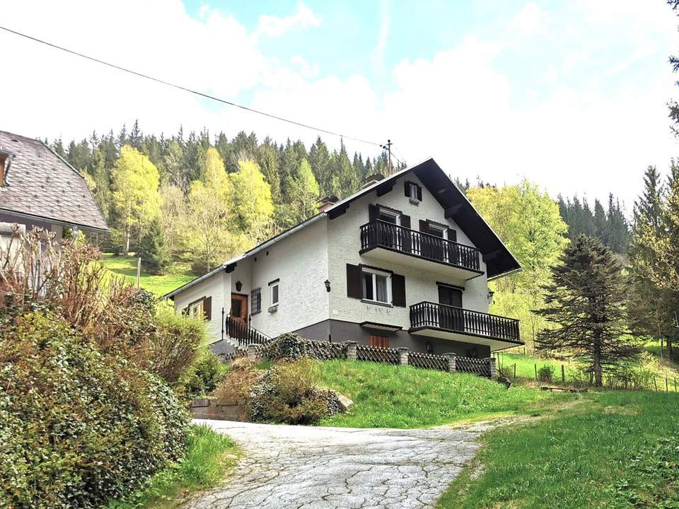 Großzügiges Familien- oder Ferienhaus im Grünen