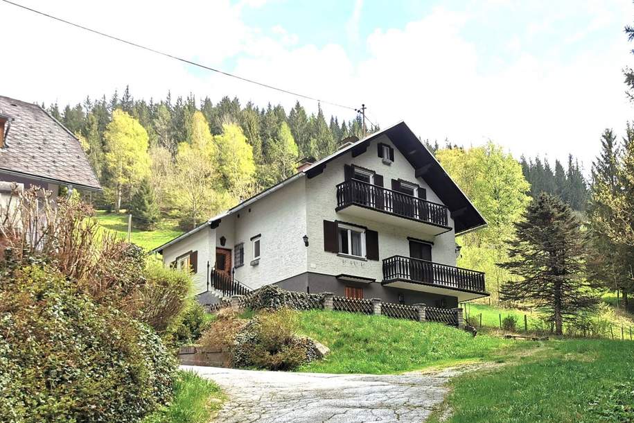 Großzügiges Familien- oder Ferienhaus im Grünen, Haus-kauf, 173.600,€, 8674 Weiz