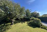 Zweifamilienhaus zwischen Linz und Wels mit Garten und Pool