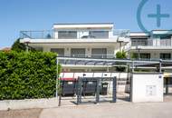 FAMILIEN-GARTENTRAUM XXL