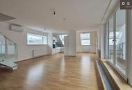 | DACHTERRASSE | AM DONAUKANAL | 4 ZIMMER |