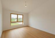 Modernes Plus-Energie-Reihenhaus in Massivholzbauweise