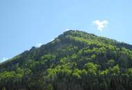 ***WEIHNACHTSANGEBOT*** TOP 10 in der RESIDENZ GEYERHAMMER - SONNIGER BALKON und LIFT