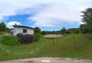**Traumhaftes Einfamilienhaus mit Pferdestall, Koppel und großem Grundstück in Bocksdorf**