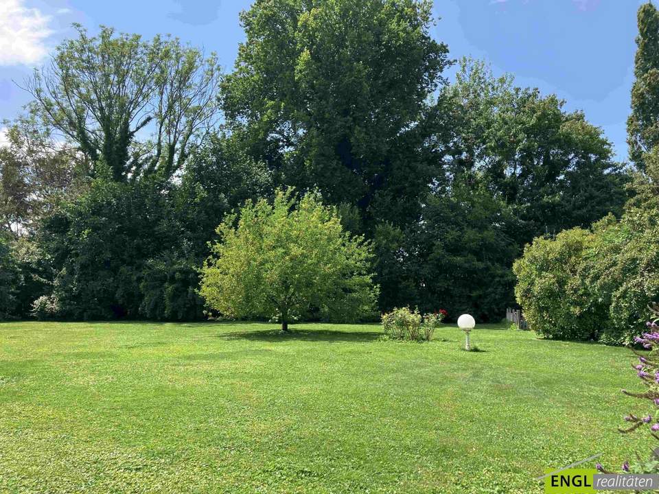 Neuer Baugrund – Raum zum Leben oder für Ihr Wohnbauprojekt