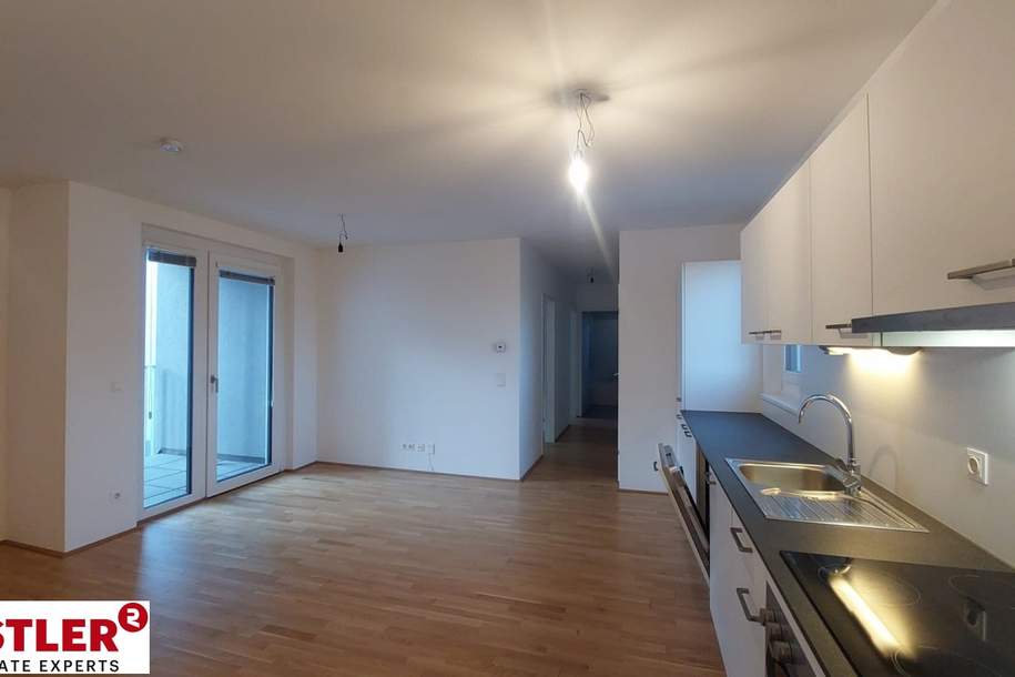 Perfekte Aufteilung mit Balkon, Wohnung-miete, 1.329,48,€, 1100 Wien 10., Favoriten