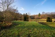 Teilsaniertes Wohnhaus mit viel Platz, Grünblick und Entwicklungspotenzial in Zentrumsnähe