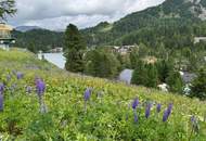Turracher Höhe - Ein Grundstück mit Seltenheitswert – ideal für eine hochwertige touristische Entwicklung. Baugrundstück für eine kleine Apartmentanlage - DIREKT bei der Piste und der Talstation "Panoramabahn"