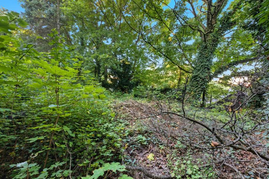 Toplage Bisamberg – Bauträgergrundstück mit attraktivem Entwicklungspotenzial!, Grund und Boden-kauf, 816.000,€, 2102 Korneuburg