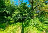 Großes Baugrundstück mit Altbestand vor den Toren Wiens. Bauträger aufgepasst! 1.000 m² bebaubare Fläche